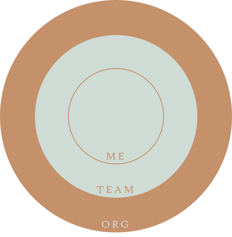 Coaching ganzer Organisationen visualisiert.